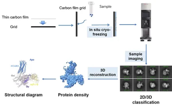 Cryo-EM Technology Platform